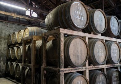 お酒もおいしいぞ お酒もおいしいぞ